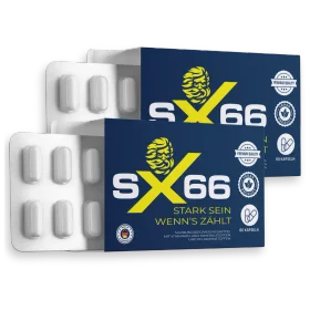 SX66 Supplement